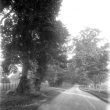 Leek Wootton.  Woodcote Drive