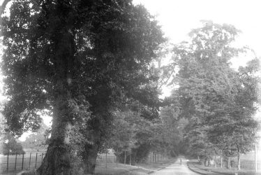 Leek Wootton.  Woodcote Drive