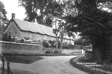 Lighthorne.  Row of old thatched cottages