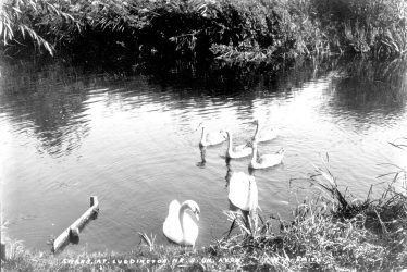 Luddington.  River Avon