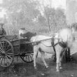 Cubbington.  Sam Cleaver, village milkman
