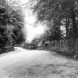Ragley.  The Spring