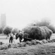 Brailes, Lower.  Haymaking