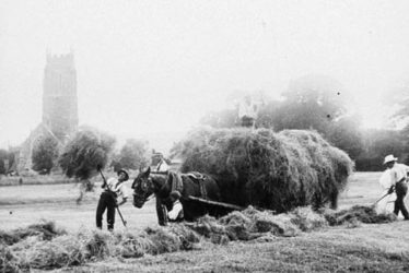 Brailes, Lower.  Haymaking