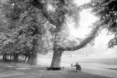 Rugby.  Caldecott Park