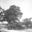 Brailes, Lower.  Church and street