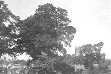 Brailes, Lower.  Church and street