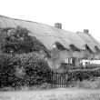 Bilton.  Row of cottages