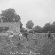 Broom.  Pea pickers at work