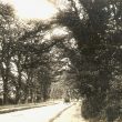 Dunchurch.  Daventry Road