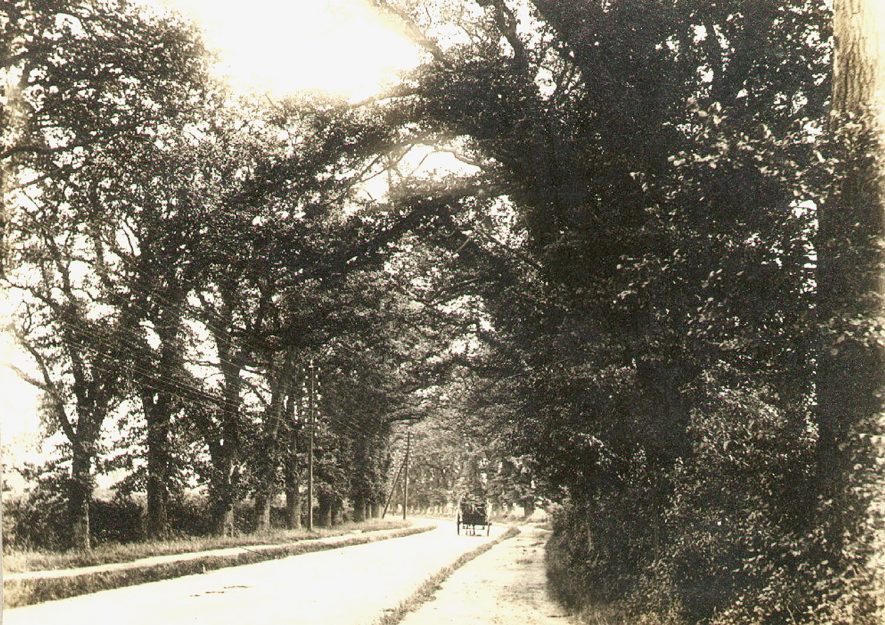 The Daventry Road into Dunchurch, with telegraph posts alongside.  1898 |  IMAGE LOCATION: (Rugby Library)