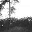 Ryton on Dunsmore.  Wroth silver ceremony