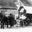 Alcester.  Delivering flour by horse and wagon