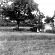 Preston on Stour.  Village view