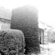 Lighthorne.  Forge and stack of horseshoes