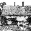 Lighthorne.  Tansy Hill cottages