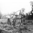 Brailes, Lower.  Farm workers