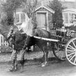 Ashorne.  Local fishmonger's horse and cart