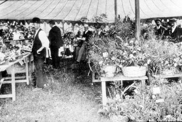 Stockton.  Flower show