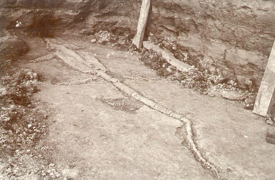 The skeleton of an Icthyosaurus uncovered at Stockton.  1900s |  IMAGE LOCATION: (Warwickshire Museums. Photographic Collections.)
