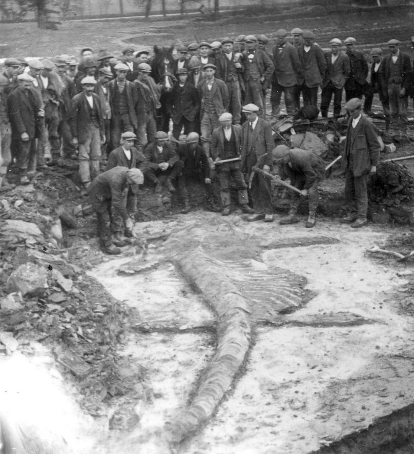 Harbury quarry showing fossil of Ichthyosaur discovered there. 1928[Specimen now in the Natural History Museum, London. A similar one can be seen at the Warwickshire Museum, Market Hall, Warwick].[The quarry manager, Albert Hodges, is in the front row, third from the right, with a tie. He died in 1953] |  IMAGE LOCATION: (Warwickshire Museums. Photographic Collections.)