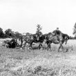 Chesterton.  Harvest