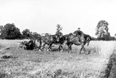 Chesterton.  Harvest