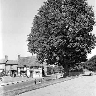 Wellesbourne.  Stag's Head and chestnut tree