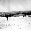 Burton Dassett.  Farmworker harrowing on the hills