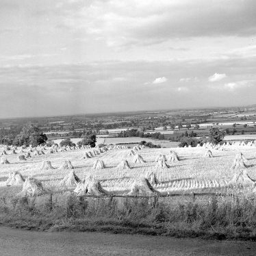 Burton Dassett.  Field of corn stooks