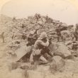 Warwickshire Regiment in South Africa