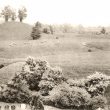 Brinklow.  Ancient Tumulus and Roman Camp