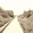 Brinklow.  Easenhall Cutting, Oxford Canal