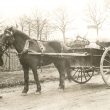 Budbrooke.  Mr Hicken with horse and milk cart