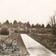 Packwood House.  Yew gardens