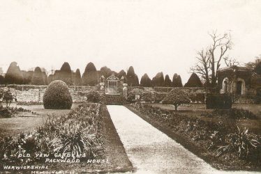 Packwood House.  Yew gardens