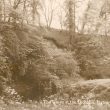 Ryton on Dunsmore.  Grove at the Old Mill