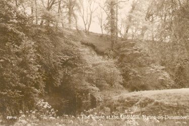 Ryton on Dunsmore.  Grove at the Old Mill