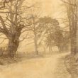 Stoneleigh Park.