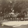 Warwick.  Yeomanry Horse Team
