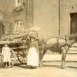Warwick.  Fruit and vegetable cart