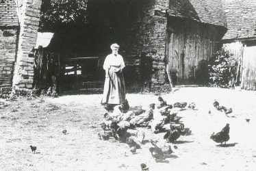 Wilmcote.  Mary Arden's Farmyard