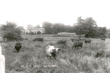 Wolston.  Church from the meadows