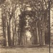 Warwick.  The Avenue, Guys Cliff