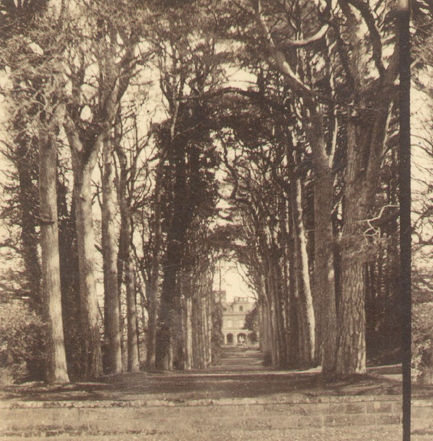 The Avenue, Guys Cliff, Warwick.  1870 |  IMAGE LOCATION: (Warwickshire County Record Office)