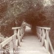 Warwick.  Bridge at Guy's Cliffe