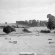 Moreton Paddox.  Three Gates