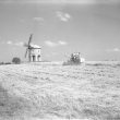 Chesterton.  Harvesting and windmill