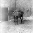 Clifford Chambers.  Seth Smith, blacksmith