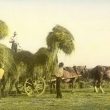 Clifford Chambers.  Loading a haycart at Lower Milcote